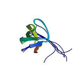 PBB Protein FYN image.jpg