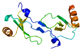 Protein CCL2 PDB 1dok.png