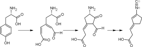 Схема пути биосинтеза диен-изоцианида из тирозина