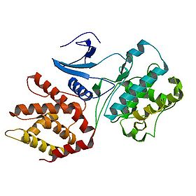PBB Protein CDK5 image.jpg