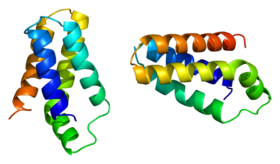 Protein FRAP1 PDB 1aue.png
