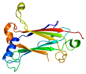 Protein TRAF6 PDB 1lb4.png