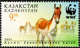 Stamp of Kazakhstan 348.jpg